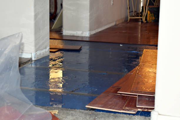 Professional Water Damage technician working in Tad, WV