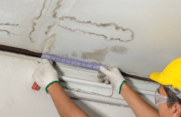 Reliable Water Damage contractor in Tad, WV by Water Damage Irwin